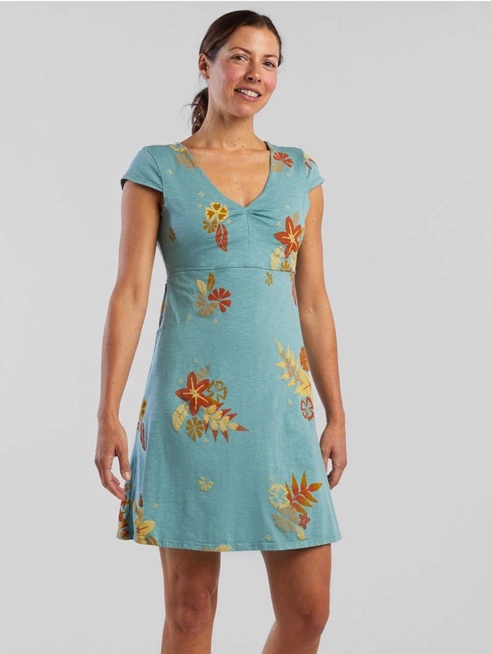 TOAD&CO Rosemarie Dress in Blue, EUC, size XS